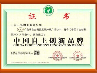 中國自主創新品牌