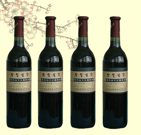 遼寧隆堃藍莓酒業有限公司