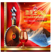 中國新疆雪蓮谷集團