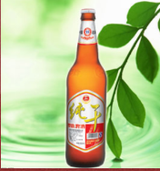 英博雙鹿啤酒集團有限公司
