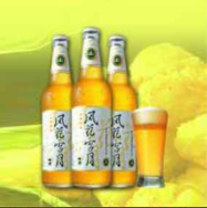 云南大理啤酒股份有限公司