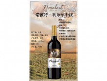 諾波特·歡樂頌