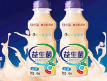 益生菌乳酸菌風味飲料