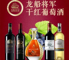 龍船將軍（上海）供應鏈有限公司