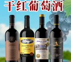 廈門全鑫盛酒業進出口有限公司